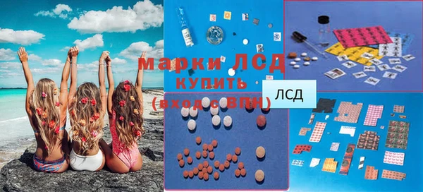 прущие грибы Белоозёрский