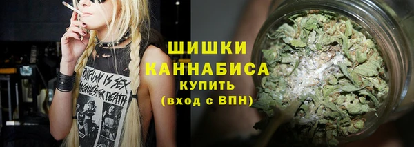 эйфоретик Белокуриха