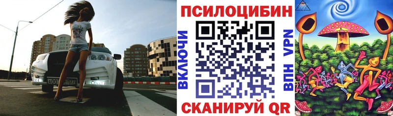 хочу   Кумертау  Галлюциногенные грибы прущие грибы 